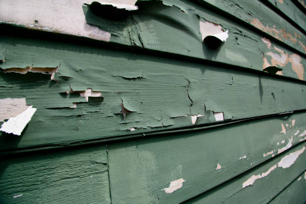 Best Engineered Wood Siding  in Salisbury, NC