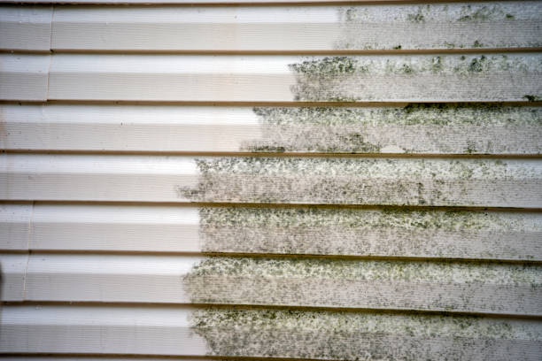 Best Siding Removal and Disposal  in Salisbury, NC