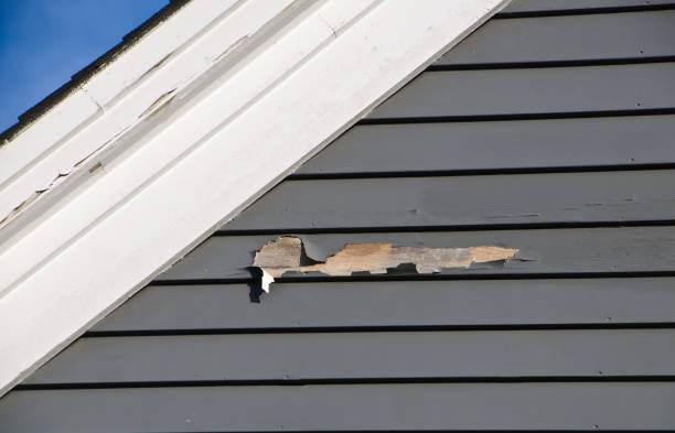Best Composite Siding  in Salisbury, NC